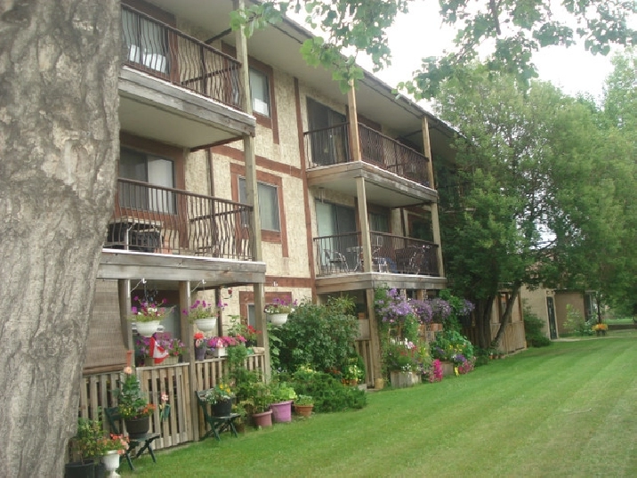 206 Bachelor Suite! - Off Whyte Ave near U of A! in Edmonton,AB - Apartments & Condos for Rent