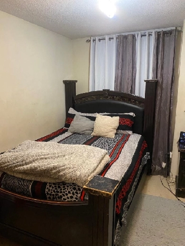 Room for Rent in Toronto! Female only Image# 1