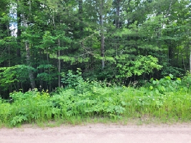 0 Shields Point Rd., Bonfield Ontario Image# 1