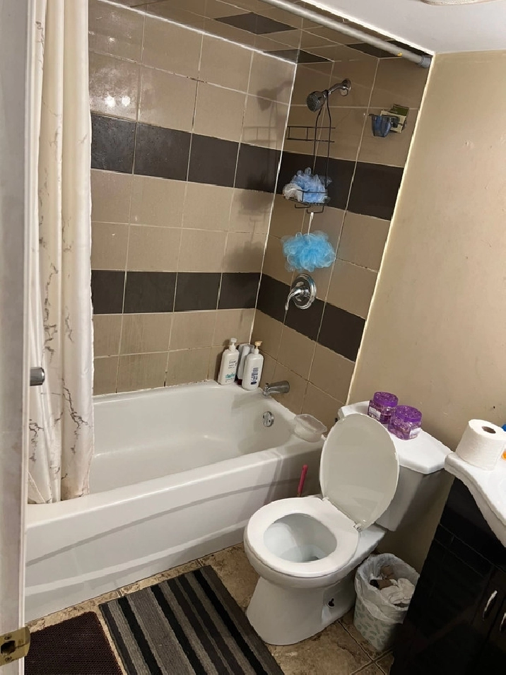 Basement For Rent Nov 1st 2023 Brampton in Mississauga / Peel Region,ON