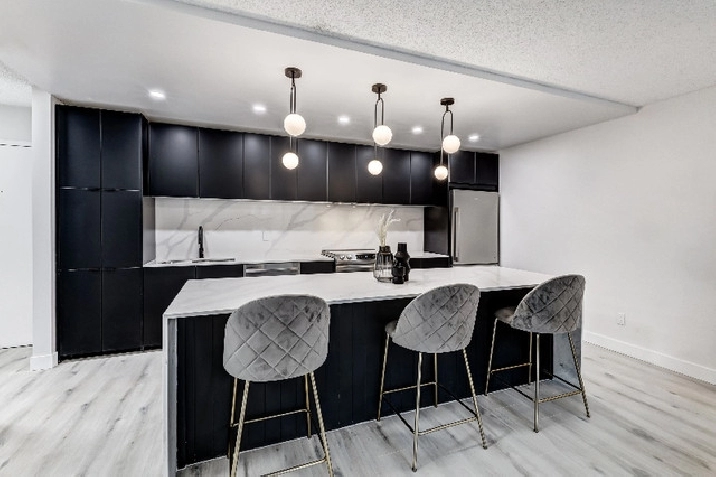 FRESHLY RENOVATED & FURNISHED DOWNTOWN CALGARY CONDO FOR SALE in Calgary,AB - Condos for Sale