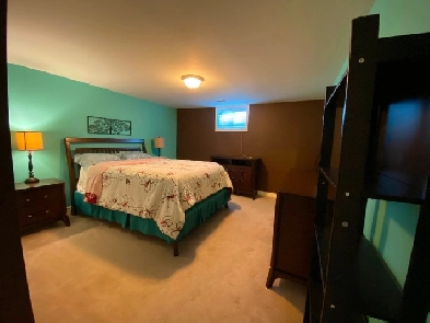 1 large bedroom for rent near Lambton college for female profess Image# 1