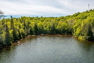 100  Acres 500  ft waterfront Kearney, Loon Lake Image# 1