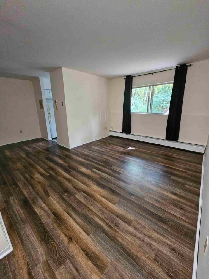 BRIDGEWATER'S BEST ONE BDRM UNIT NOVEMBER 1ST in Bridgewater,NS