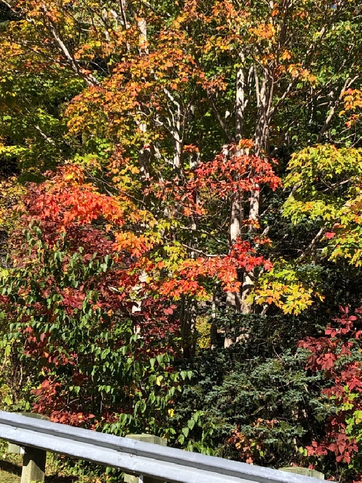 For Sale by Owner in Annapolis Valley,NS Land for Sale