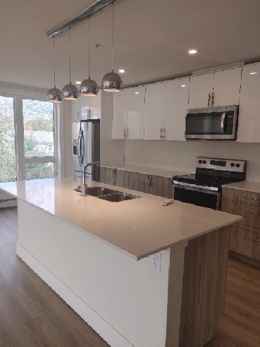 Large Two Bedroom plus Den/ Two full bathrooms Boss Plaza HFX