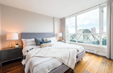 Living in the Heart of the City: Private Room with Private Bath Image# 1