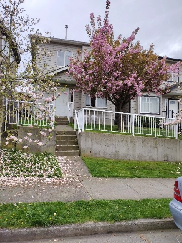 ONE BEDROOM FULLY FURNISHED IN RENOVATED HOME Image# 1