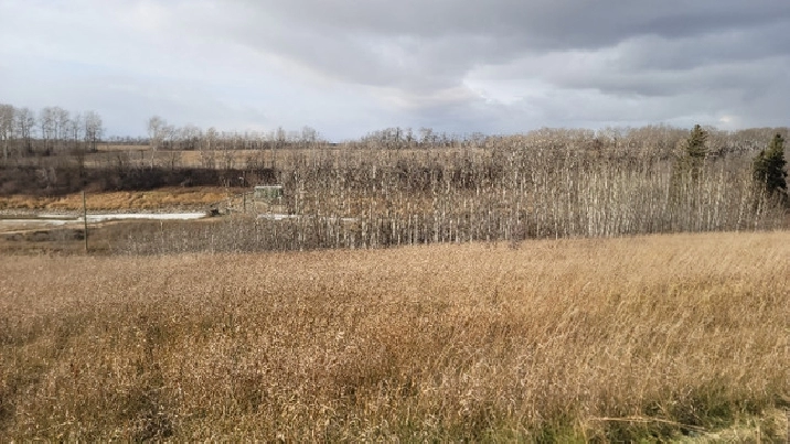 Gilbert Plains Acreages in Winnipeg,MB - Land for Sale