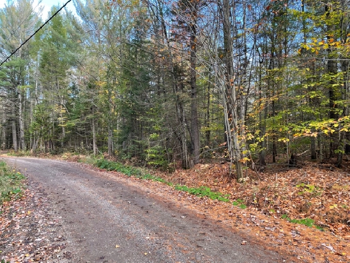 Terrain construisible à vendre in Lanaudière,QC Land for Sale