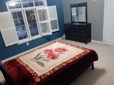 Room For Rent Image# 1