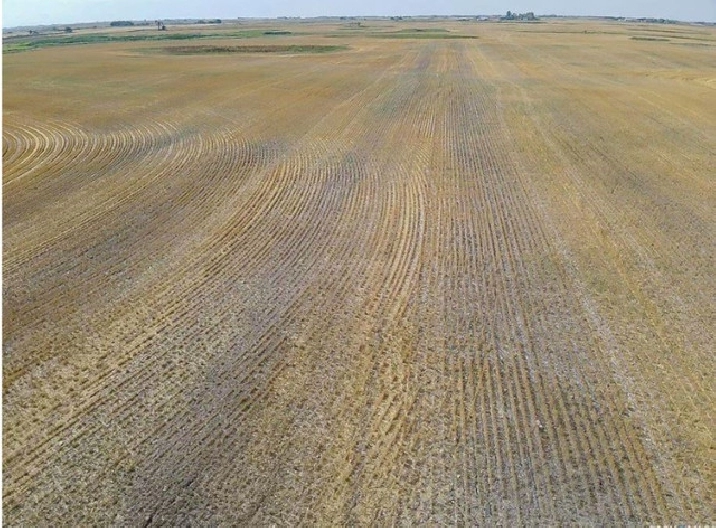Rm Benson - 150 cultivated acres in Regina,SK - Land for Sale