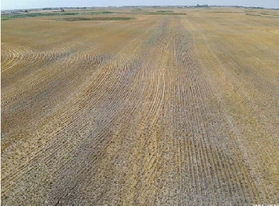 Rm Benson - 150 cultivated acres Image# 1