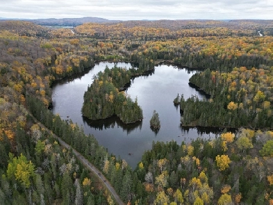 Domaine forestier de 204 acres dans les Laurentides Image# 1