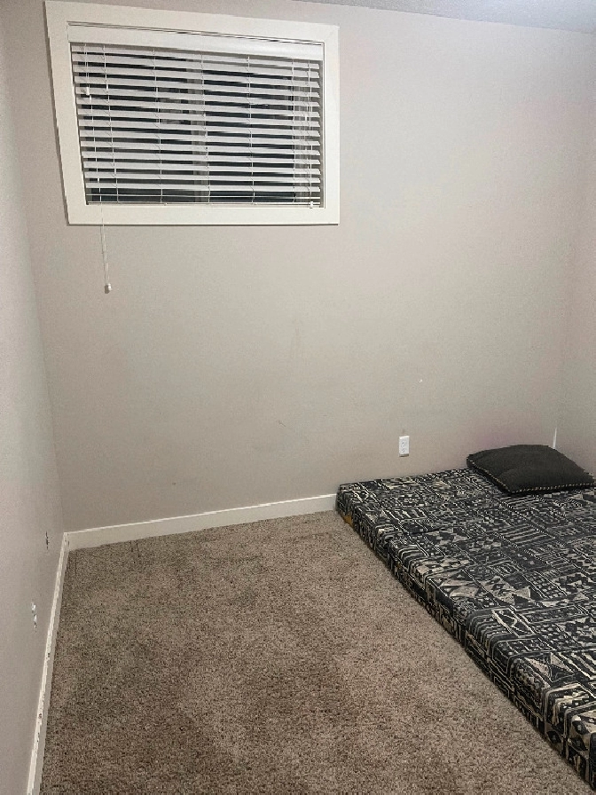 Basement for rent in Calgary,AB Room Rentals & Roommates
