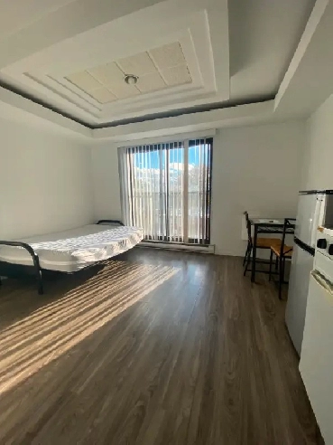 Appartement 1 1/2 à louer for rent, 5850 Rue Papineau, Rosemont Image# 1