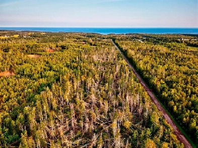 Building Lot For Sale Image# 1