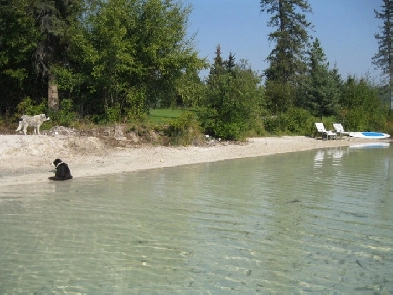 Lakefront Dream in the Chilcotin/Cariboo Image# 3