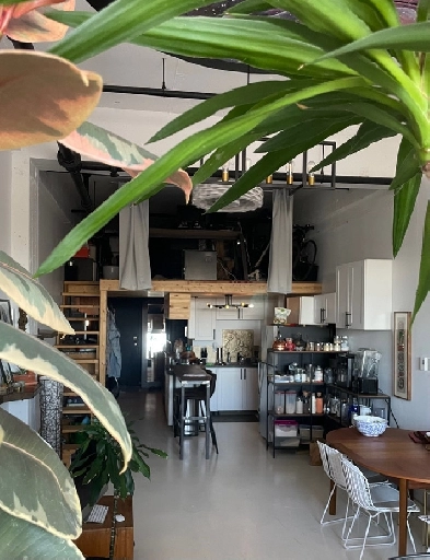 Grand loft nouveau Rosemont