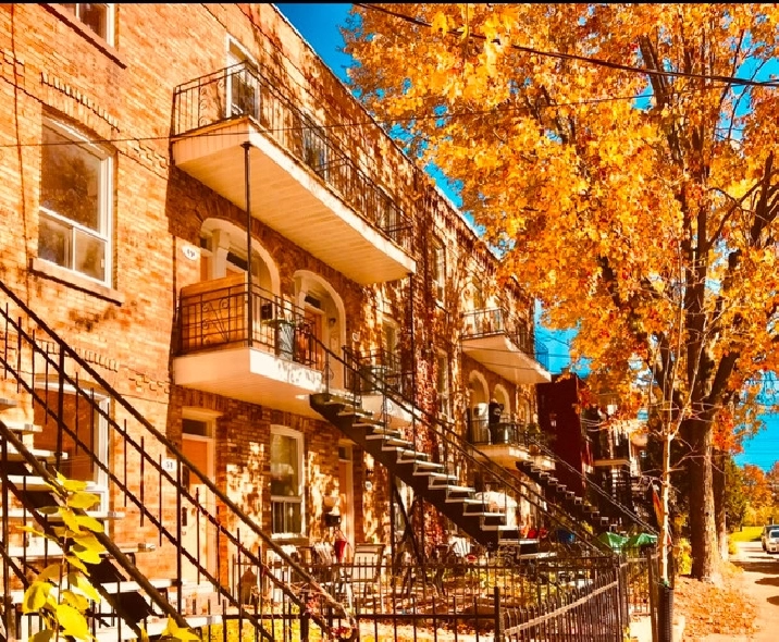 Joli 4 1/2 RDC Verdun in City of Montréal,QC Apartments & Condos for Rent