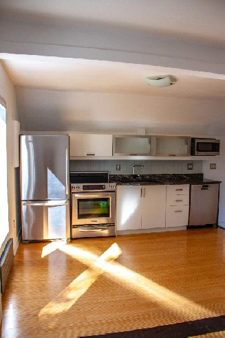 Modern one bedroom apt