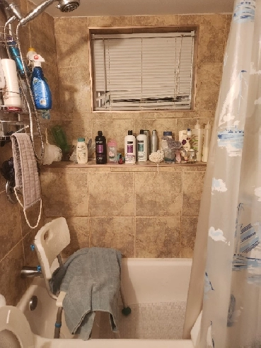 2 et demi à louer  526 tout inclus  semi-meublé  Bellevue Image# 1