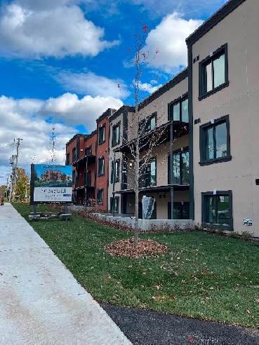 Apartment for rent Image# 1