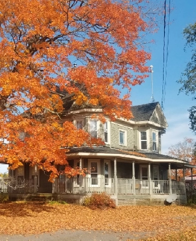 Beautiful Farm house Image# 1