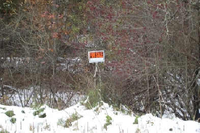 WOOD LOT WITH  WATER? Image# 1