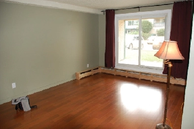 Newly Renovated South East Edmonton Apartment Condo for Sale Image# 1