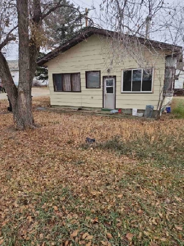 120 2nd Ave. W., Bengough Image# 1