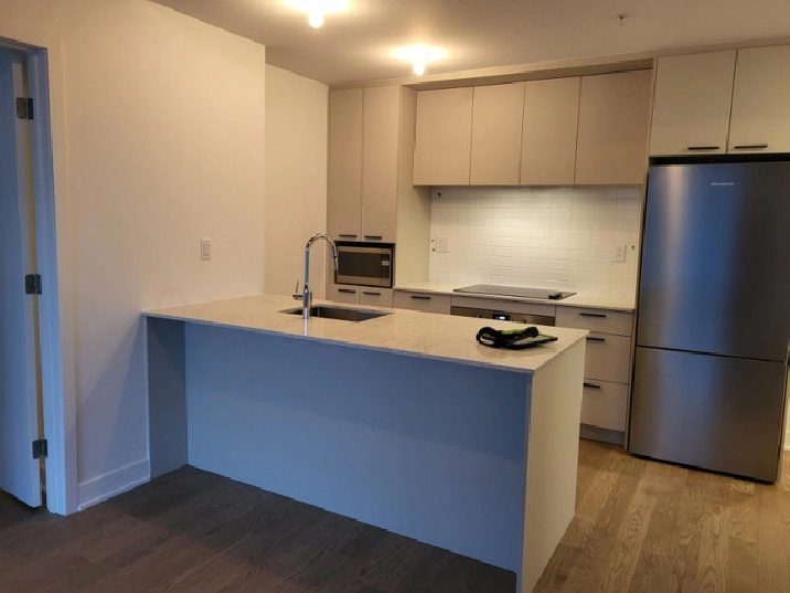 Brand new condo with 2 bedrooms 2 bathroom in Downtown Montreal in City of Montréal,QC - Apartments & Condos for Rent