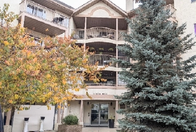 SELLER FINANCING! Fully Renovated 2 bed/2 Bath Condo! Image# 1