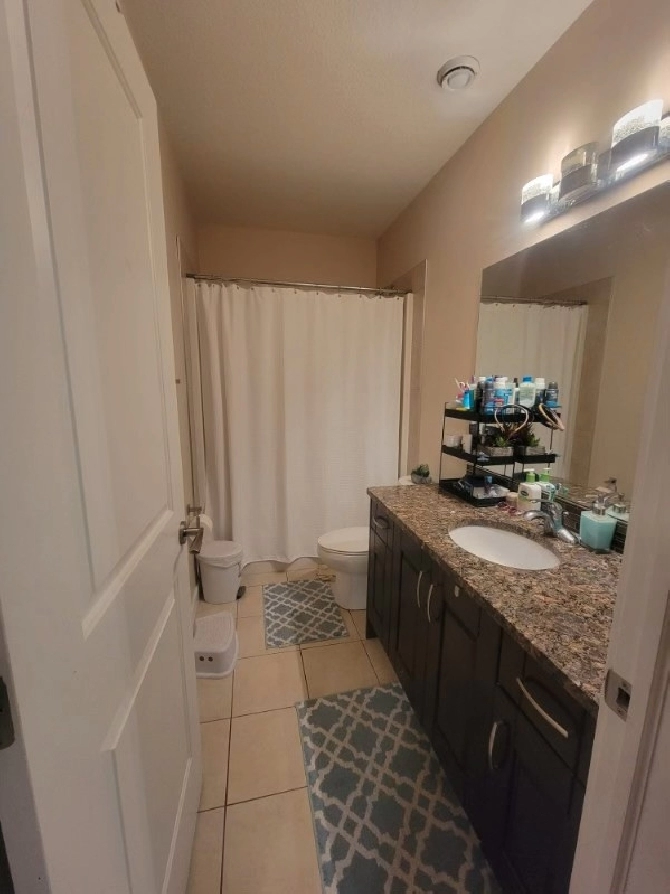 2 BEDROOM LEGAL BASEMENT SUITE FOR RENT FROM NOV 1st in Fort McMurray