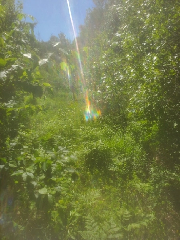 I acre of land for sale Image# 1