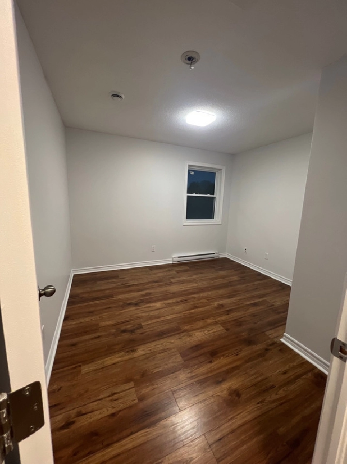 MALE STUDENTS Room for RENT OTTAWA DOWNTOWN in Ottawa,ON Apartments