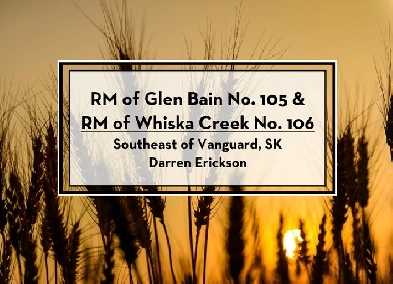 Land for Sale by Tender - RMs of Glen Bain & Whiska Creek Image# 1