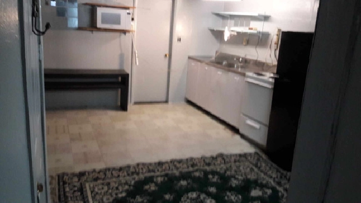 Basement Studio in Downtown Toronto - College & Ossington in City of Toronto,ON - Apartments & Condos for Rent