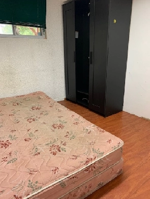 Shared room for rent