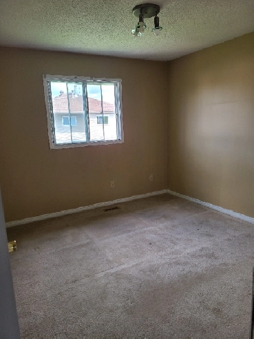 Room available near Sheridan College in Brampton