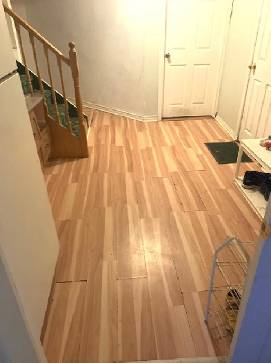 ROOM RENTAL FOR MALES @ SHERIDAN COLLEGE BRAMPTON