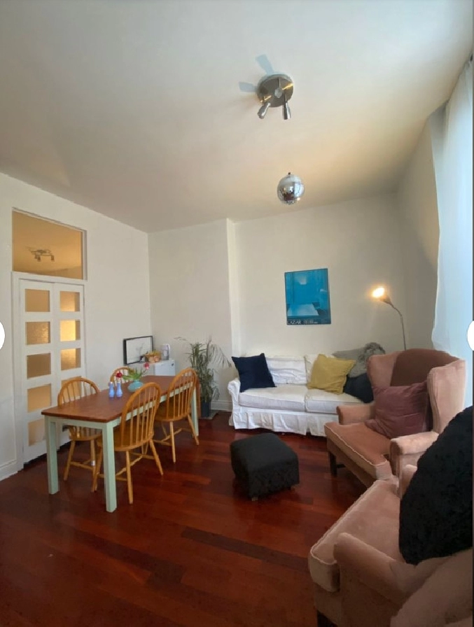 4 Bedroom Student Sublet in the McGill Ghetto in City of Montréal,QC - Room Rentals & Roommates