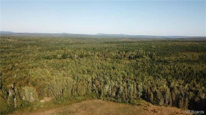 89 Acres! Woodlot Route 595, Bull Lake, NB in Fredericton,NB - Land for Sale