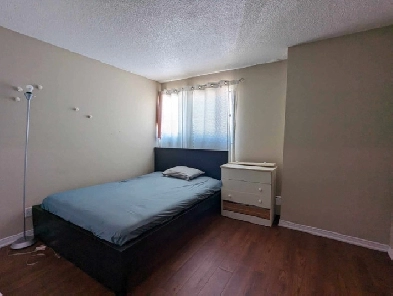From December 1st, Female room in middle of halifax downtown Image# 3