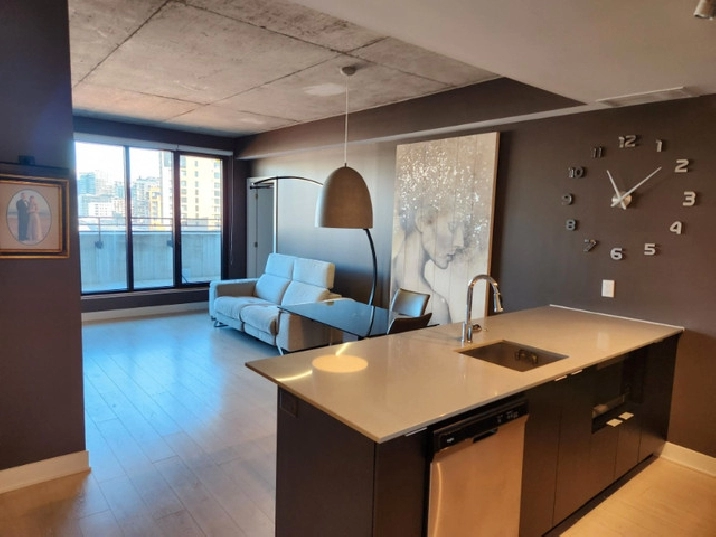 Griffintown Apt/3 Bedroom-2 Bath/One block from Lachine Canal in City of Montréal,QC - Short Term Rentals
