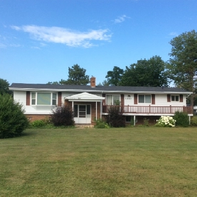 Two bedroom apartment, Centreville Image# 1