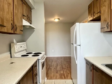 1  Bedroom Apartment - Wolfville Image# 1