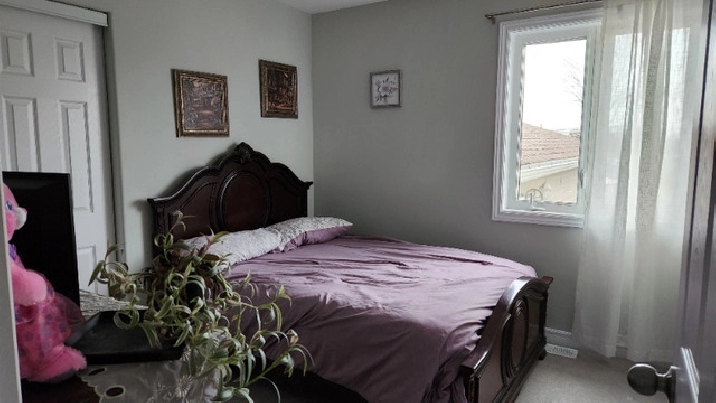 Private Room near Smiths Falls FULLY FURNISHED AMENITIES in Ottawa,ON - Room Rentals & Roommates