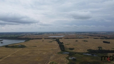 Real Estate - 4 Quarters of Farmland in RM of Kelross Image# 3