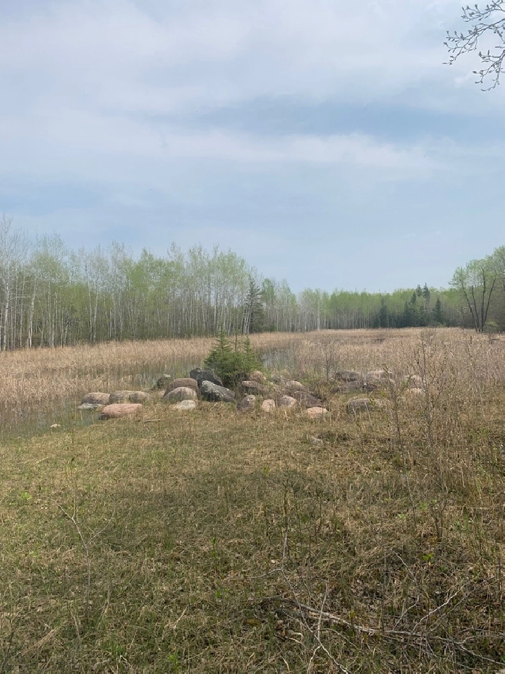 90 acres in Portage la Prairie,MB Land for Sale